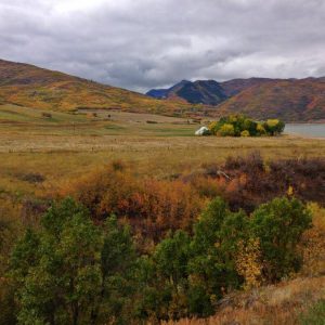 Ogden Valley fall colors