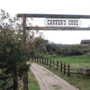 carver's cove petting zoo