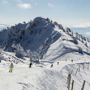 Snowbasin Ski resort Details
