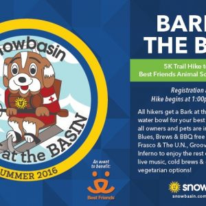 Bark at the Basin at Snowbasin