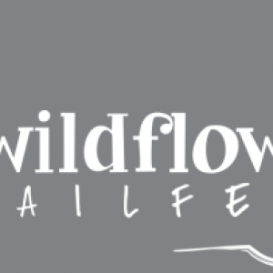 Wildflower Trail Fest