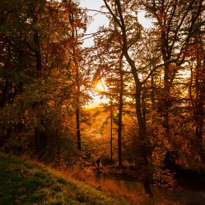 autumn in ogden valley